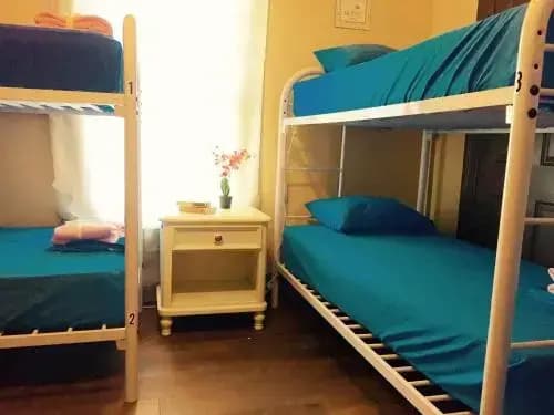 La International Hostel