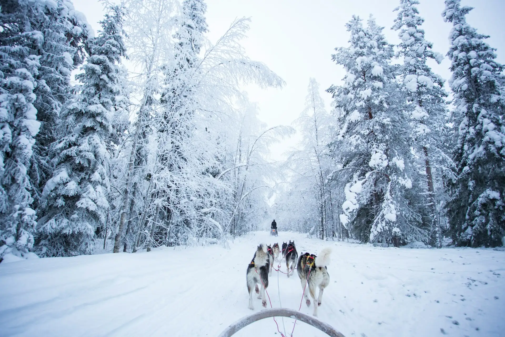 Tanie loty do Rovaniemi (RVN)