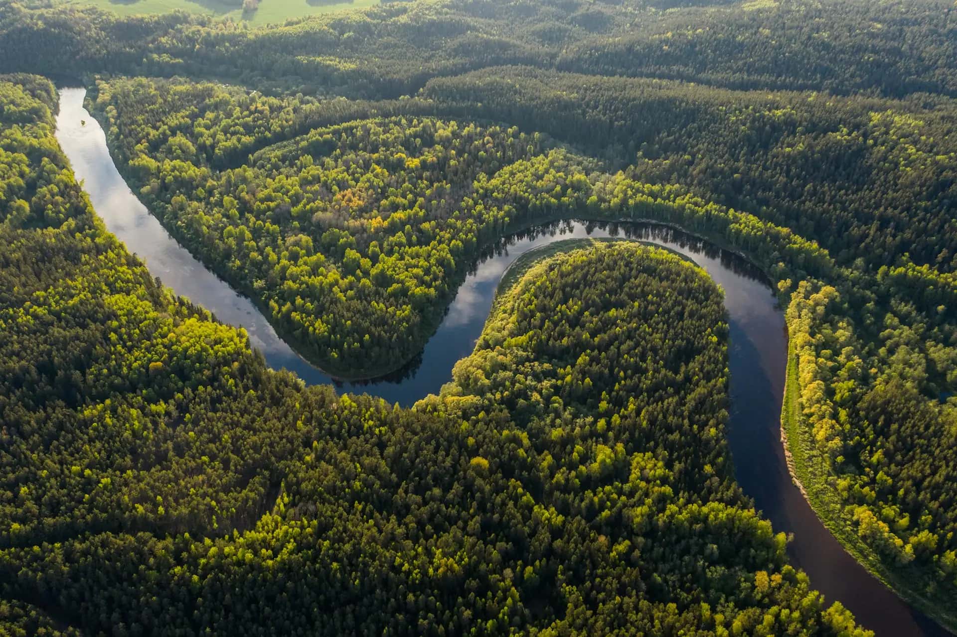 Amazonia - popularna atrakcja turystyczna w Brazylia