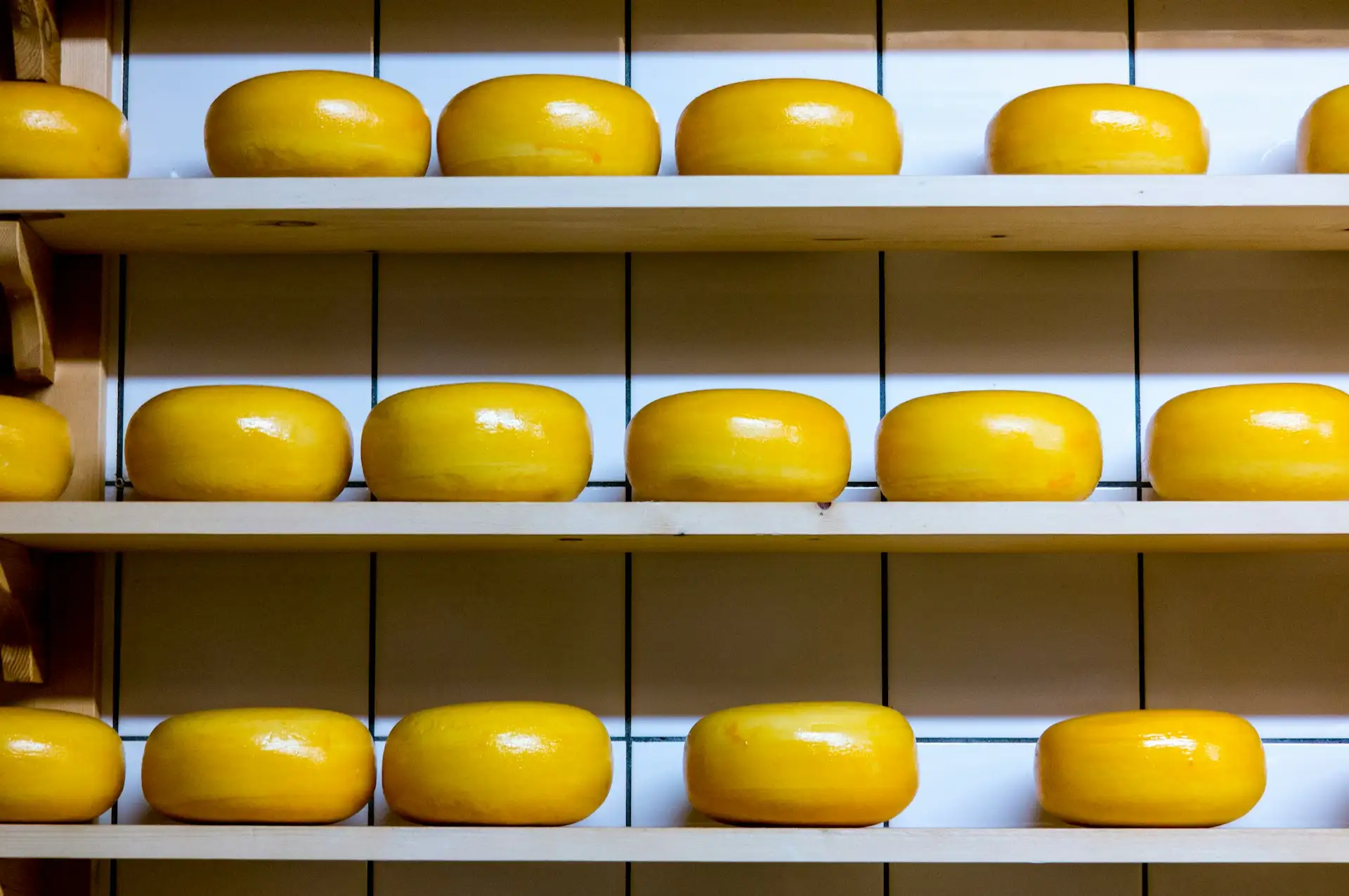 Potrawa Ser Gouda - tradycyjna kuchnia Holandia
